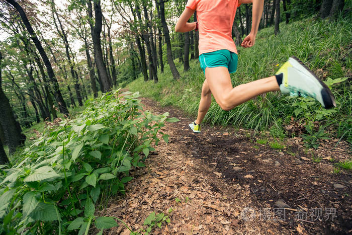 包含特色秋季森林跑,感受自然的美丽与运动的快乐的词条 包含特色秋季森林跑,感受自然的美丽与运动的快乐的词条