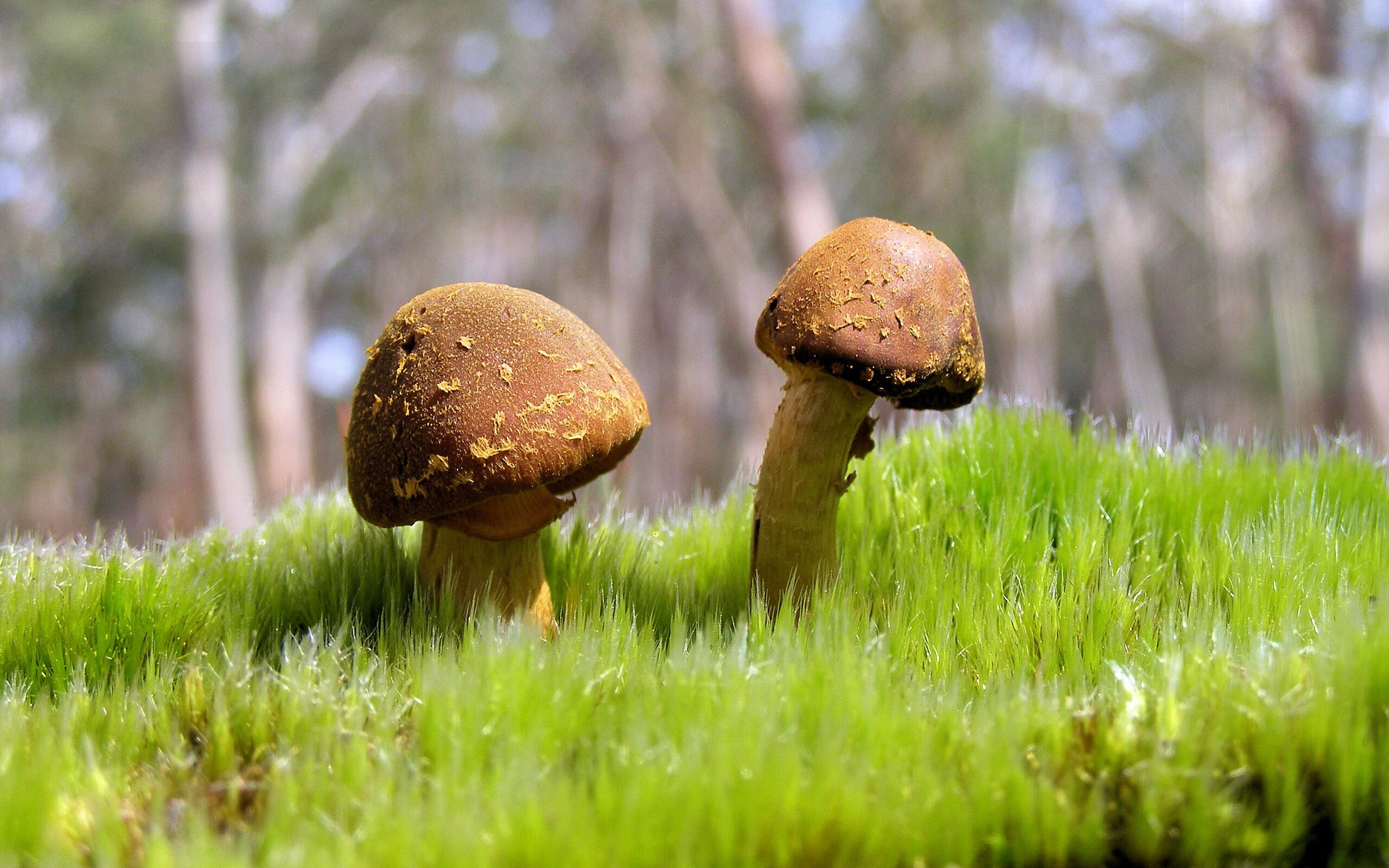 LCK实施选手赛季体能动态监控,lck规定