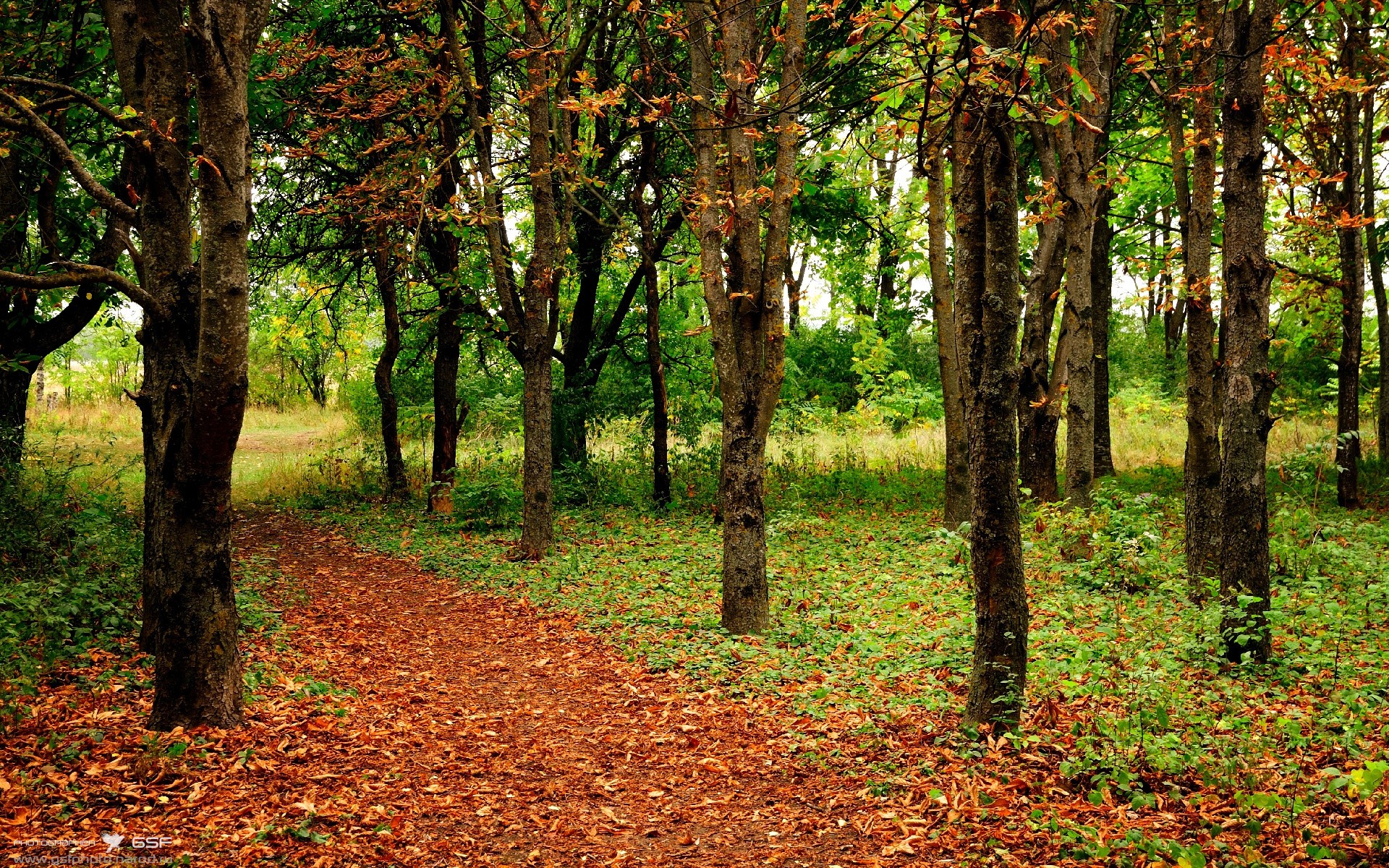 女足世界杯精彩进球回顾,女足世界杯晋级