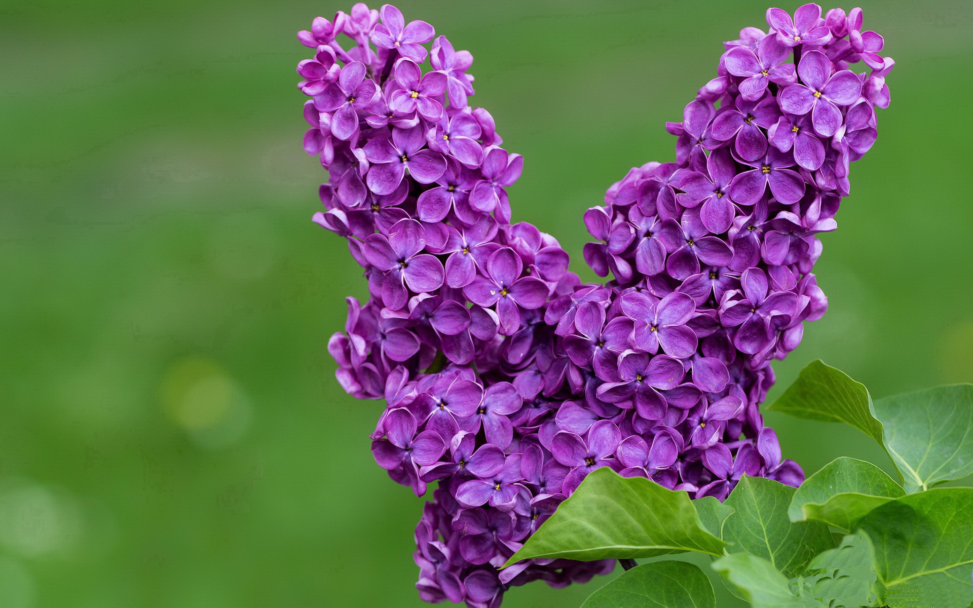 开云体育下载-广州队员表现抢眼，力争实现逆转！，广州队队员号码