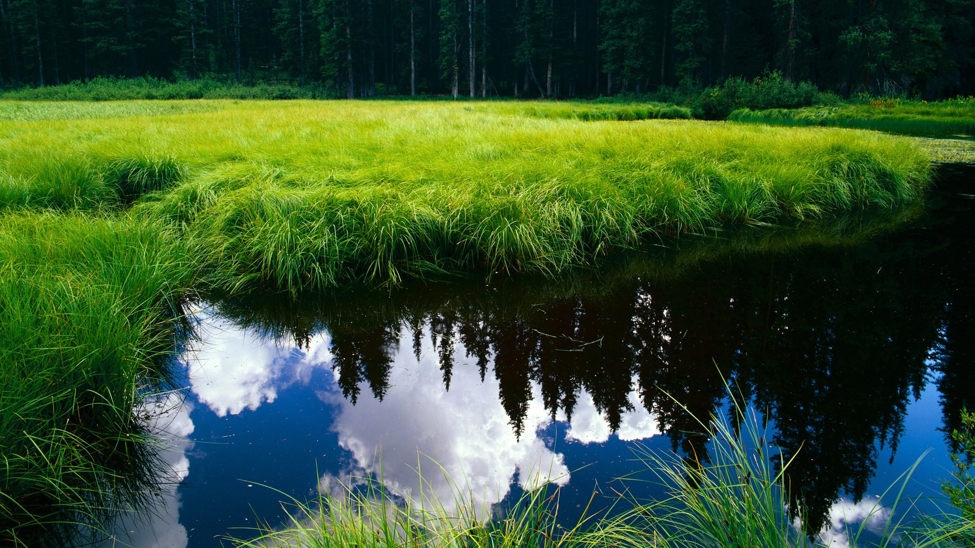 开云体育下载APP-比利时骑手格里高利·瓦特莱特在2024年国际马术联合会障碍赛世界巡回赛中以“Maximus”马匹获得个人第五名，展现坚韧精神。