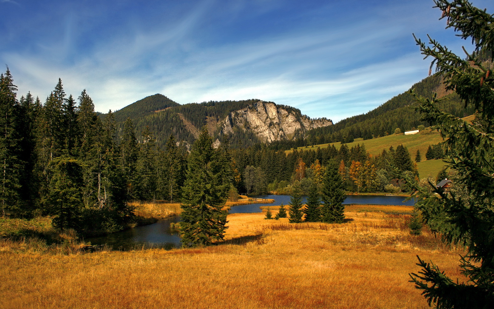 法国男篮在奥运热身赛中表现出色,法国队男篮奥运会