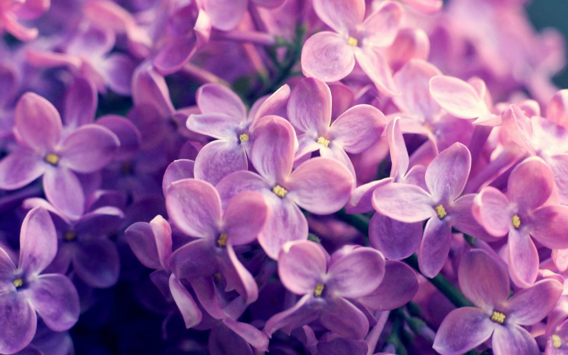 胜者为王:鼓舞士气,争取每一分胜利,胜者为王下一句要押韵