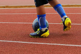 开云体育下载网页版-中国青少年篮球运动员身体机能发展研究，我国篮球青少年运动发展现状