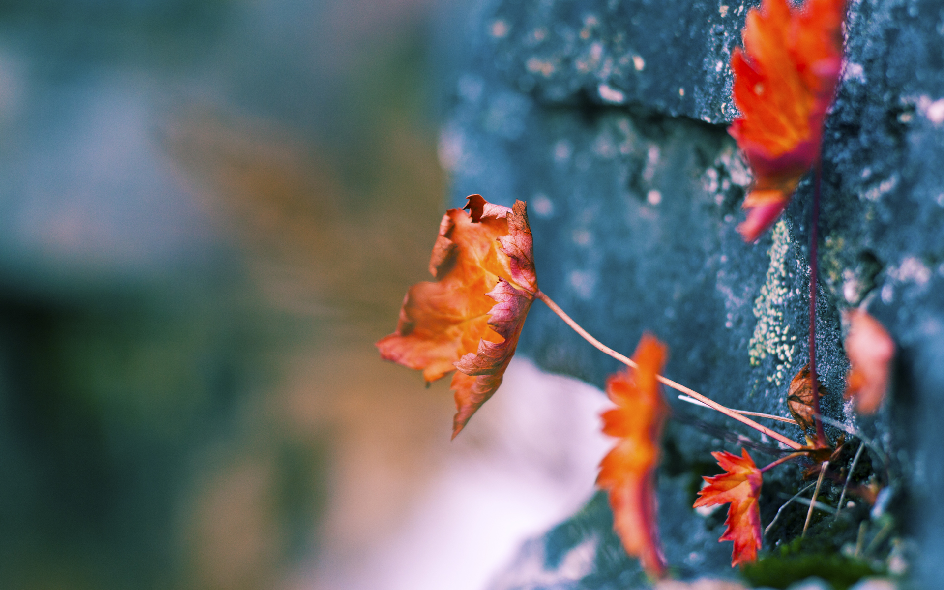 开云体育下载入口-意甲球队引入AI语义解析提升战术会议信息传达清晰度，意甲球队分析