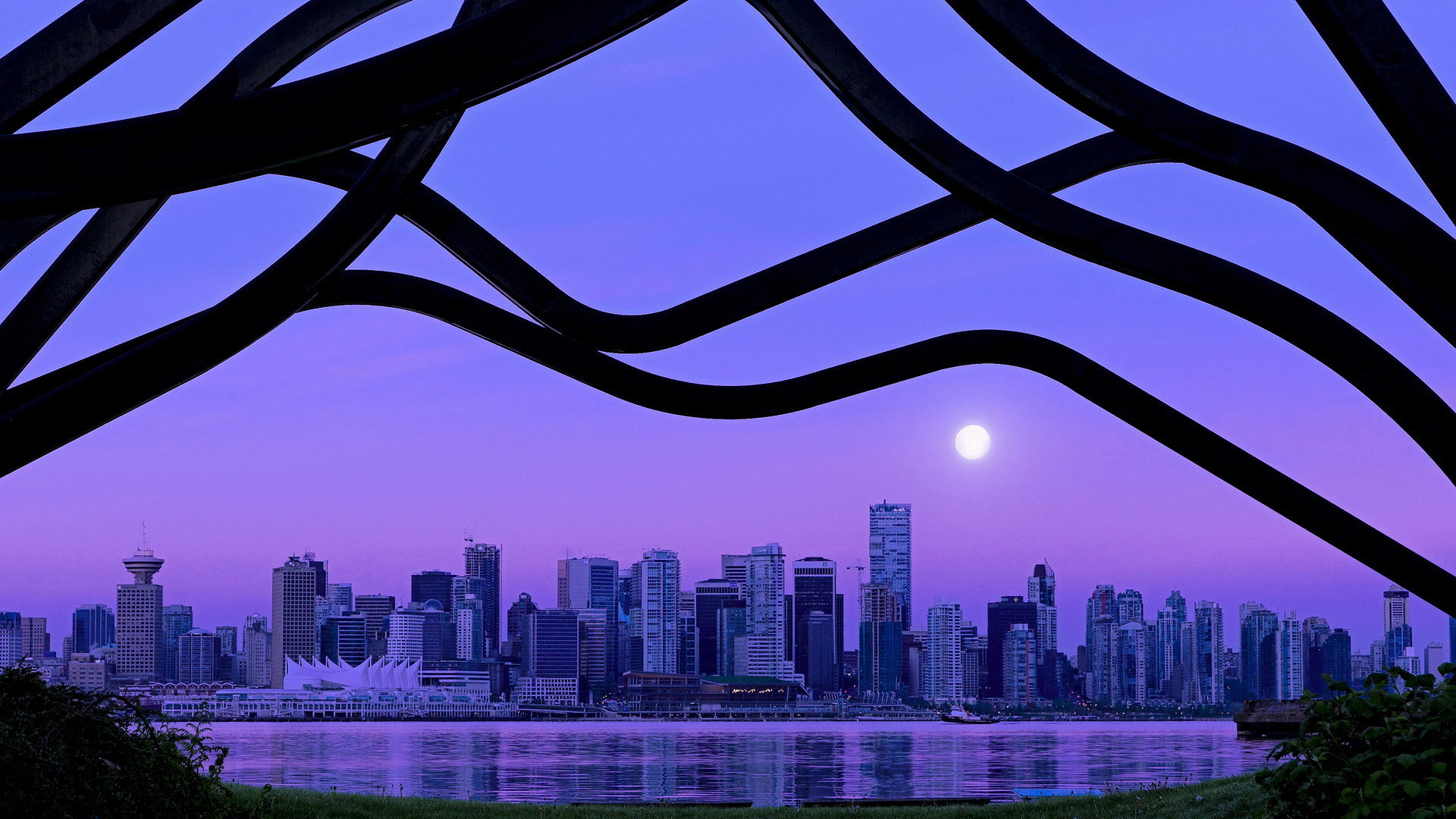 外援政策调整影响联赛竞争平衡,外援项目