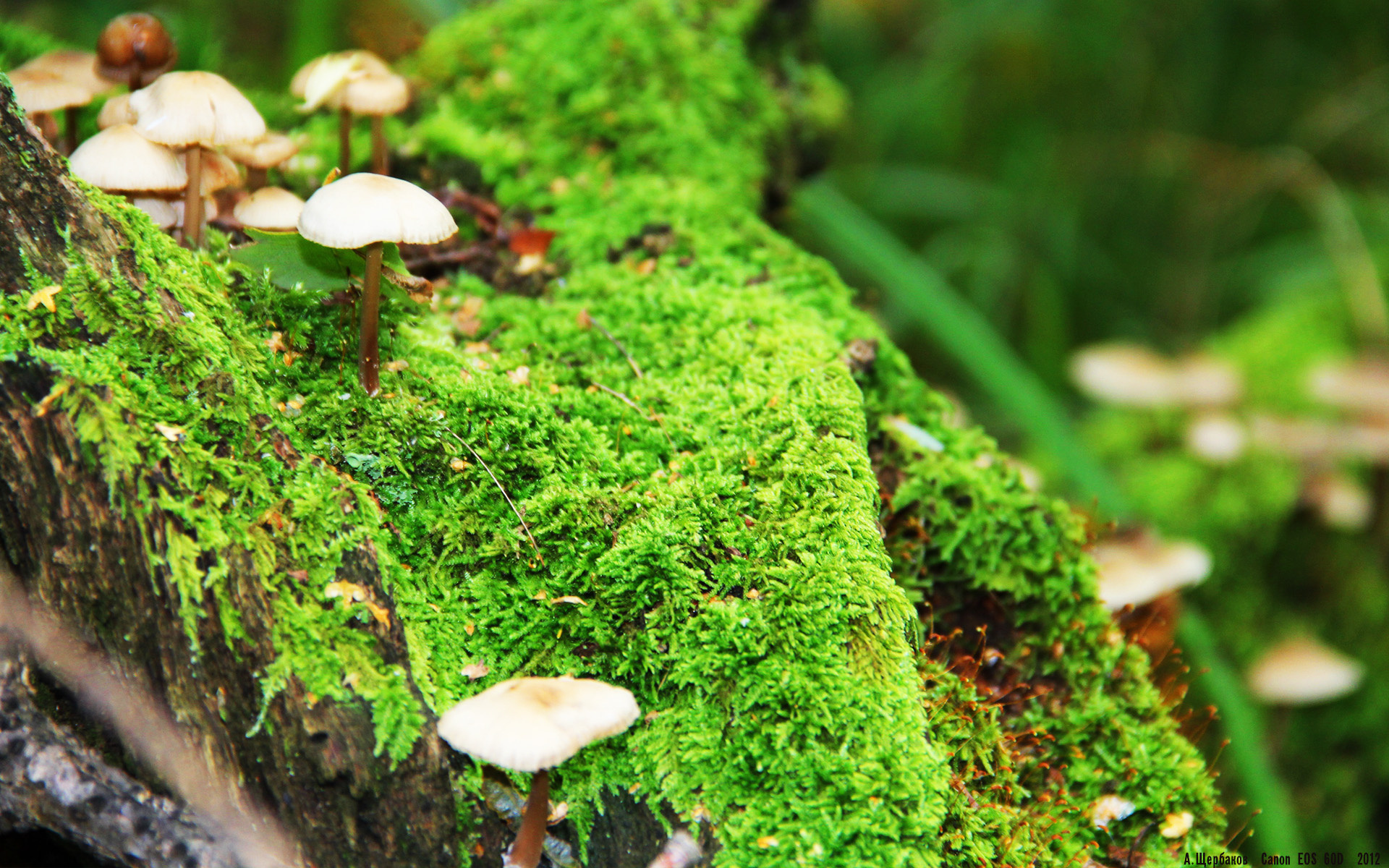 战队更换教练后战术风格焕然一新,换个战队之前的战力还有吗